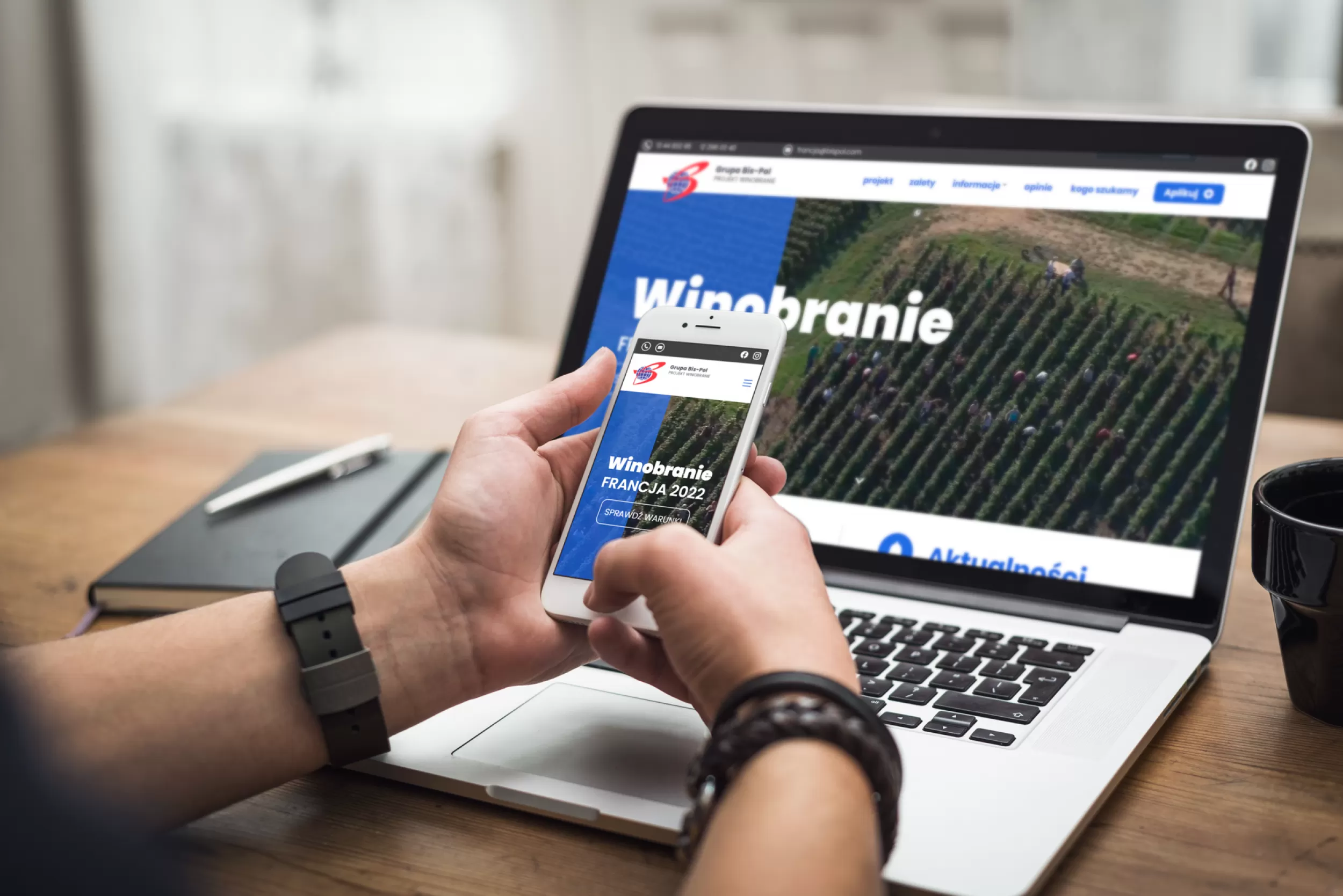 BisPol Projekt Winobranie